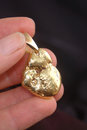 gold-detector